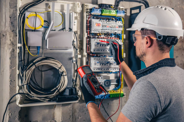 Best Electric Panel Repair  in Lake Royale, NC